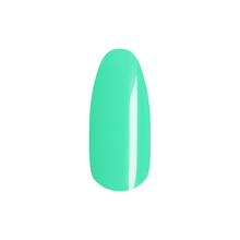 Load image into Gallery viewer, Spearmint
