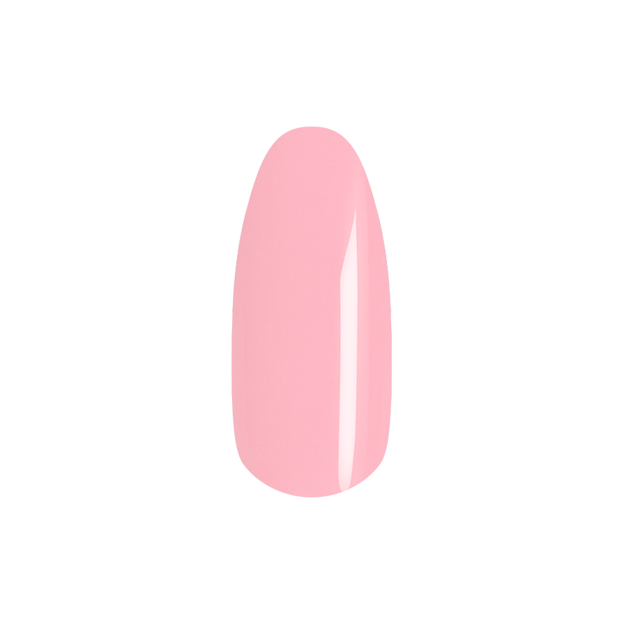 Tulip Rubber Base