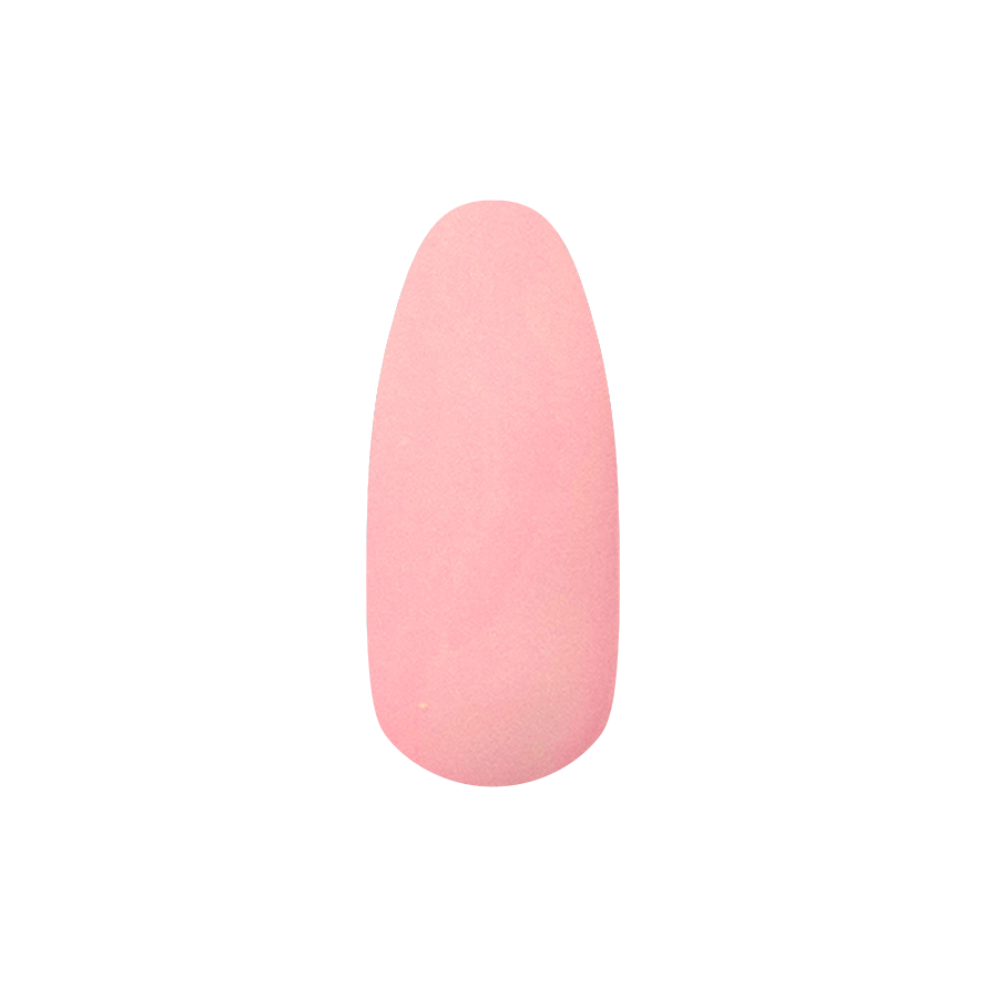 Bubble Gum